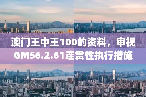 澳门王中王100的资料，审视GM56.2.61连贯性执行措施