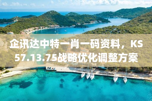 企讯达中特一肖一码资料，KS57.13.75战略优化调整方案