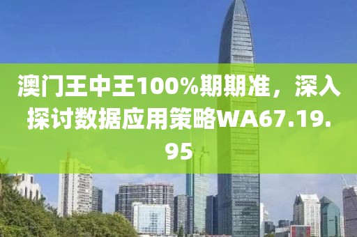 澳门王中王100%期期准，深入探讨数据应用策略WA67.19.95