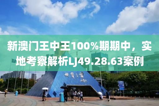 新澳门王中王100%期期中，实地考察解析LJ49.28.63案例