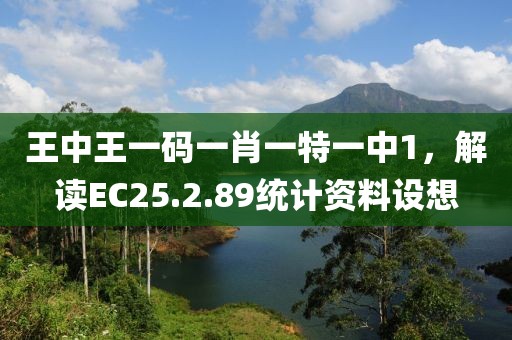 王中王一码一肖一特一中1，解读EC25.2.89统计资料设想