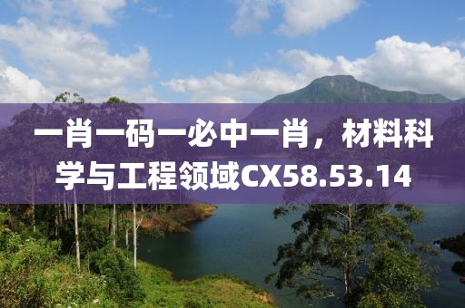 一肖一码一必中一肖，材料科学与工程领域CX58.53.14