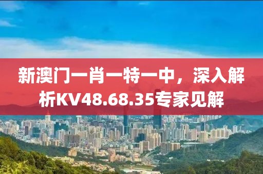 新澳门一肖一特一中，深入解析KV48.68.35专家见解
