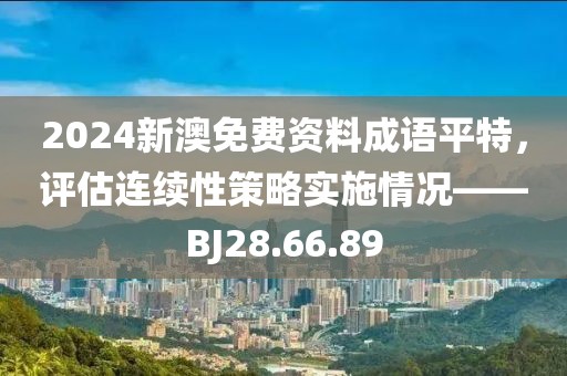 2024新澳免费资料成语平特，评估连续性策略实施情况——BJ28.66.89