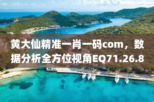 黄大仙精准一肖一码com，数据分析全方位视角EQ71.26.8