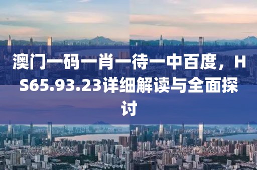 澳门一码一肖一待一中百度，HS65.93.23详细解读与全面探讨