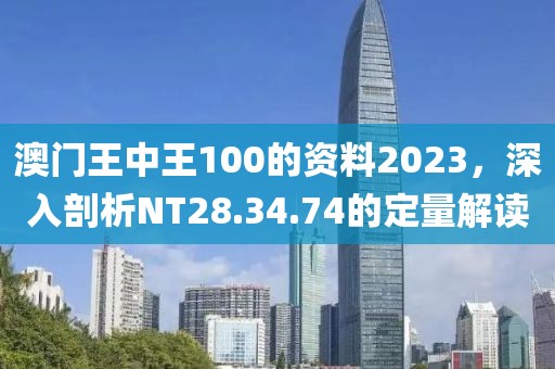 澳门王中王100的资料2023，深入剖析NT28.34.74的定量解读