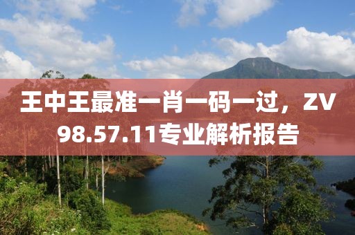 王中王最准一肖一码一过，ZV98.57.11专业解析报告