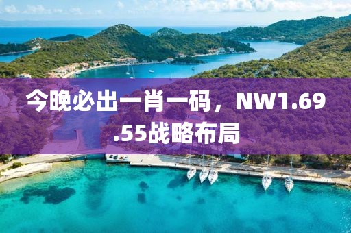 今晚必出一肖一码，NW1.69.55战略布局