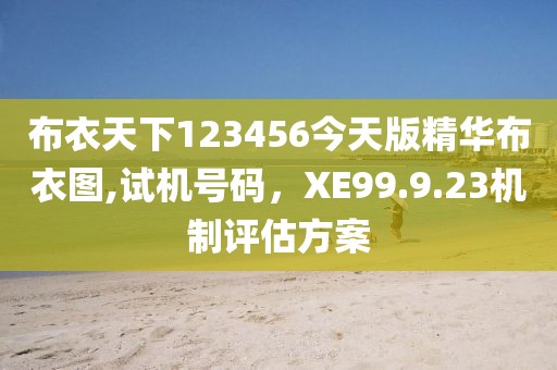 布衣天下123456今天版精华布衣图,试机号码，XE99.9.23机制评估方案