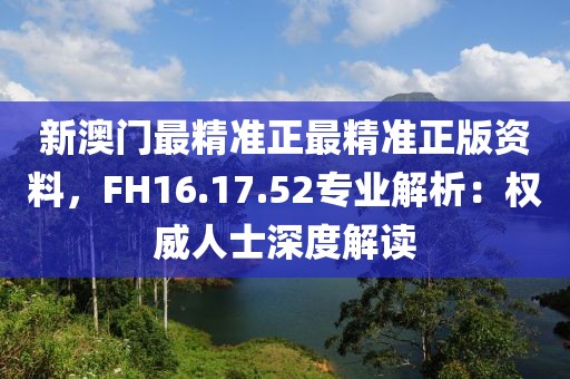 新澳门最精准正最精准正版资料，FH16.17.52专业解析：权威人士深度解读