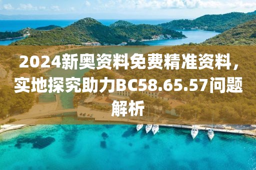 2024新奥资料免费精准资料，实地探究助力BC58.65.57问题解析