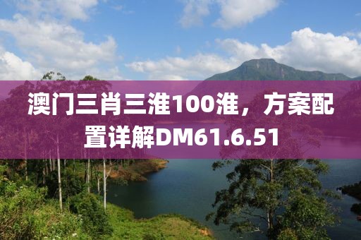 澳门三肖三淮100淮，方案配置详解DM61.6.51