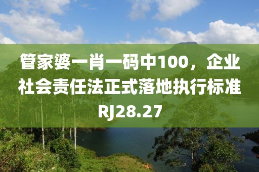 管家婆一肖一码中100，企业社会责任法正式落地执行标准RJ28.27