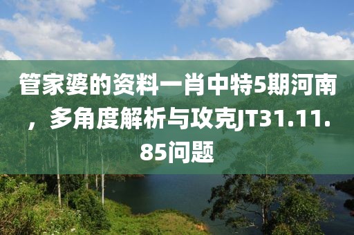 管家婆的资料一肖中特5期河南，多角度解析与攻克JT31.11.85问题