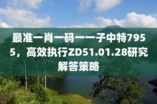 最准一肖一码一一子中特7955，高效执行ZD51.01.28研究解答策略