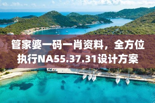 管家婆一码一肖资料,全方位执行NA55.37.31设计方案