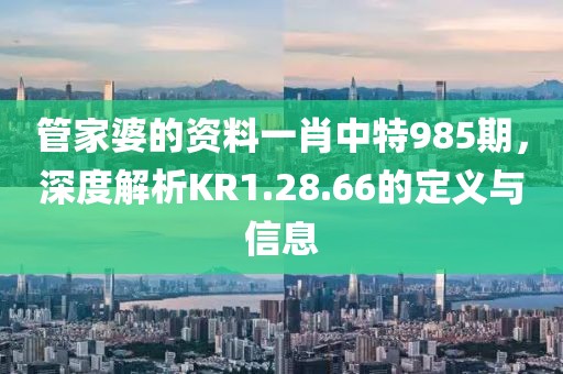 管家婆的资料一肖中特985期，深度解析KR1.28.66的定义与信息