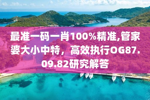 最准一码一肖100%精准,管家婆大小中特，高效执行OG87.09.82研究解答