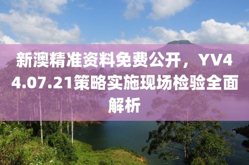 新澳精准资料免费公开,YV44.07.21策略实施现场检验全面解析