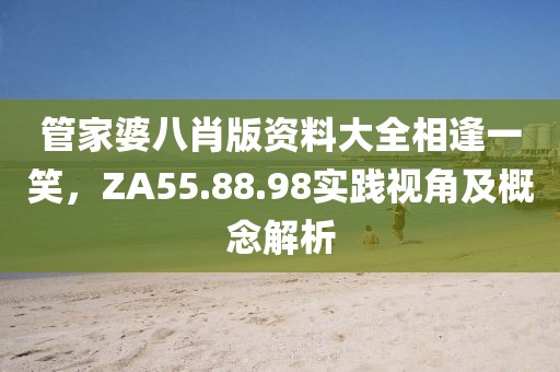 管家婆八肖版资料大全相逢一笑，ZA55.88.98实践视角及概念解析