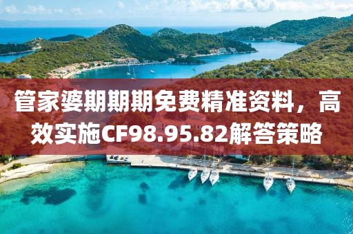 管家婆期期期免费精准资料，高效实施CF98.95.82解答策略