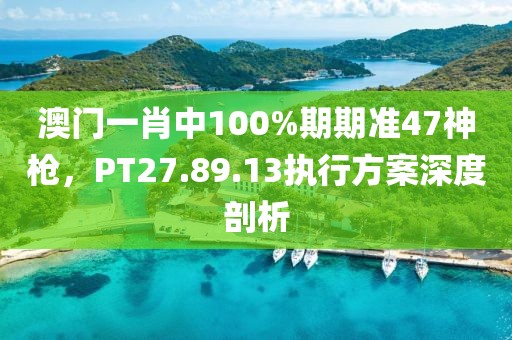 澳门一肖中100%期期准47神枪，PT27.89.13执行方案深度剖析