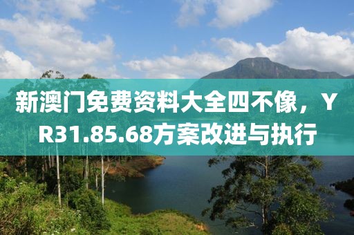 新澳门免费资料大全四不像，YR31.85.68方案改进与执行