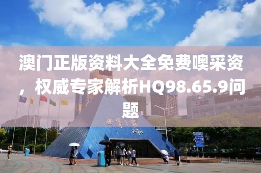 澳门正版资料大全免费噢采资，权威专家解析HQ98.65.9问题