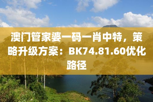 澳门管家婆一码一肖中特，策略升级方案：BK74.81.60优化路径