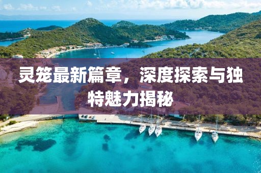 灵笼最新篇章，深度探索与独特魅力揭秘