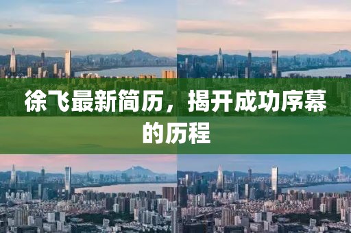 徐飞最新简历，揭开成功序幕的历程