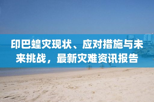 印巴蝗灾现状、应对措施与未来挑战，最新灾难资讯报告
