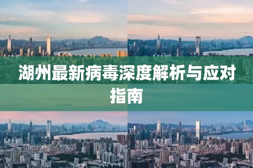 湖州最新病毒深度解析与应对指南