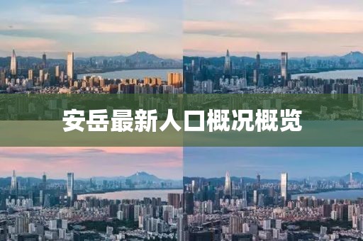 安岳最新人口概况概览