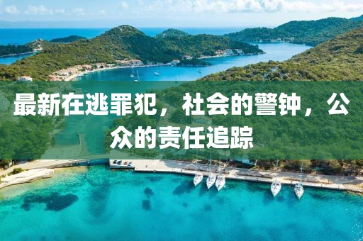 最新在逃罪犯，社会的警钟，公众的责任追踪