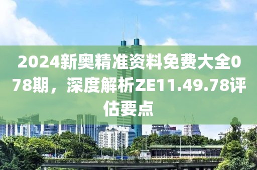 2024新奥精准资料免费大全078期，深度解析ZE11.49.78评估要点