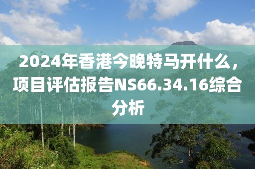 2024年香港今晚特马开什么，项目评估报告NS66.34.16综合分析