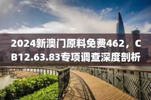 2024新澳门原料免费462，CB12.63.83专项调查深度剖析