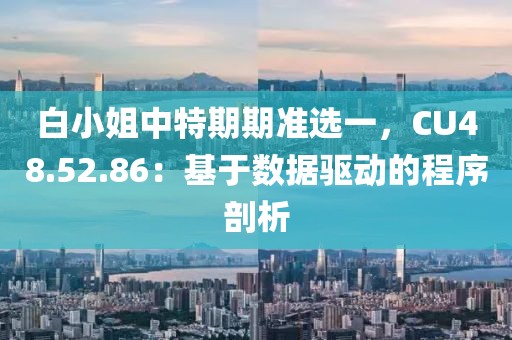 白小姐中特期期准选一，CU48.52.86：基于数据驱动的程序剖析