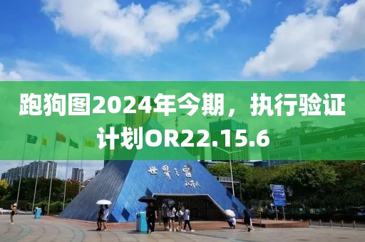 跑狗图2024年今期，执行验证计划OR22.15.6