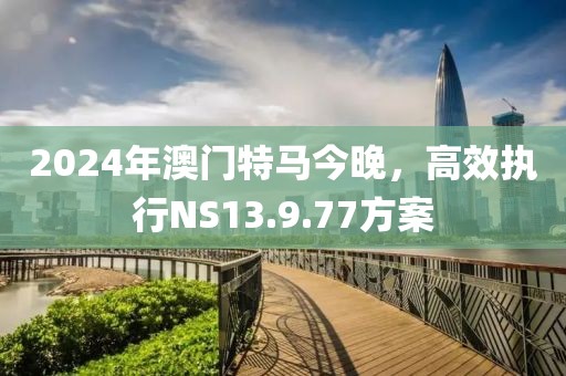 2024年澳门特马今晚，高效执行NS13.9.77方案