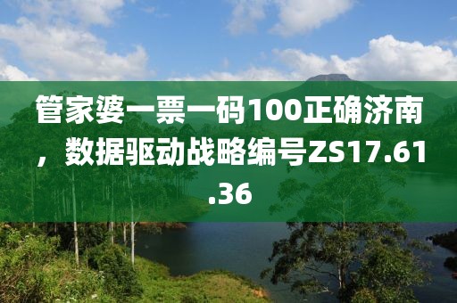 管家婆一票一码100正确济南，数据驱动战略编号ZS17.61.36
