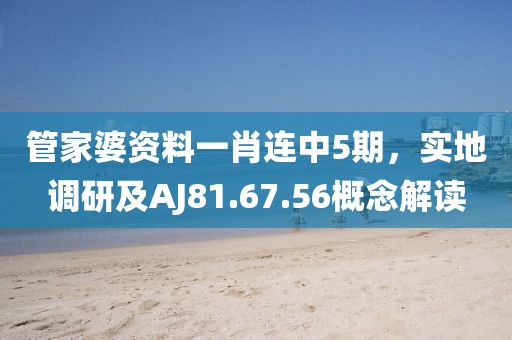 管家婆资料一肖连中5期，实地调研及AJ81.67.56概念解读