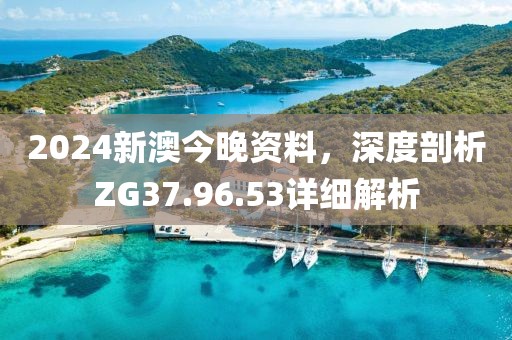 2024新澳今晚资料，深度剖析ZG37.96.53详细解析