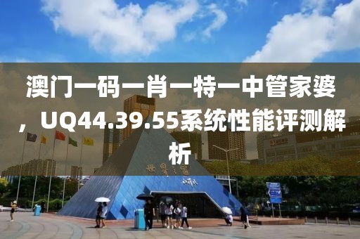 澳门一码一肖一特一中管家婆，UQ44.39.55系统性能评测解析