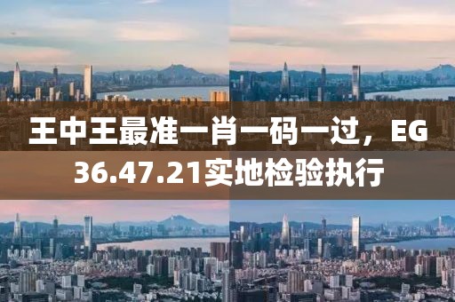 王中王最准一肖一码一过，EG36.47.21实地检验执行