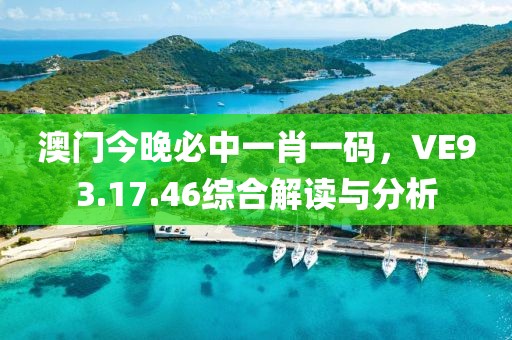 澳门今晚必中一肖一码，VE93.17.46综合解读与分析