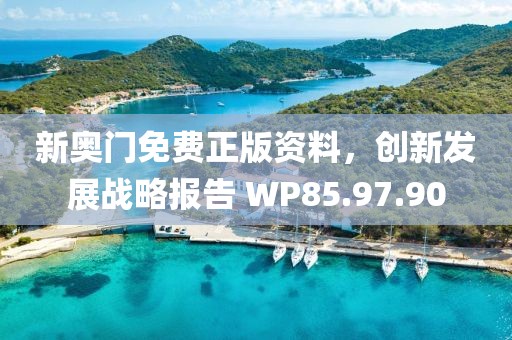 新奥门免费正版资料，创新发展战略报告 WP85.97.90