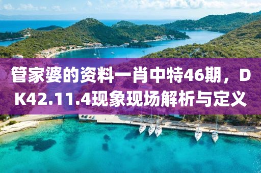 管家婆的资料一肖中特46期，DK42.11.4现象现场解析与定义